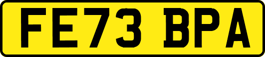 FE73BPA