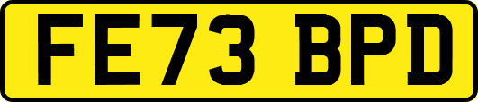 FE73BPD
