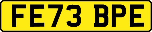 FE73BPE