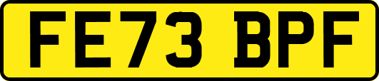 FE73BPF