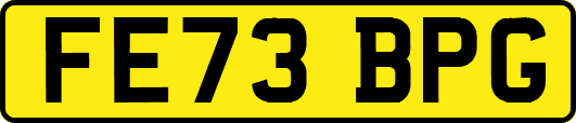 FE73BPG