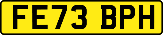 FE73BPH