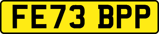 FE73BPP