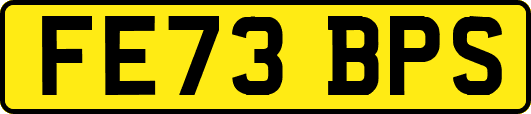 FE73BPS