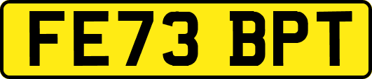FE73BPT