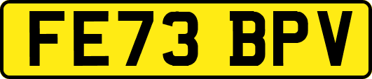 FE73BPV