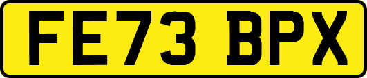 FE73BPX