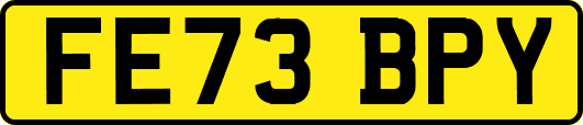 FE73BPY