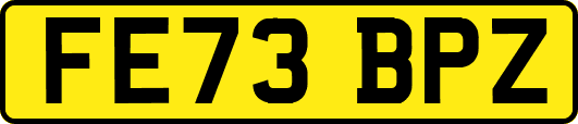 FE73BPZ