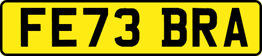 FE73BRA
