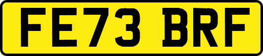FE73BRF