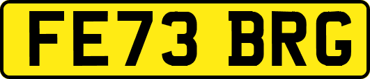 FE73BRG