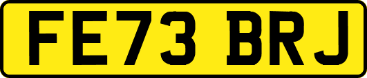FE73BRJ