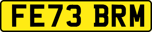 FE73BRM