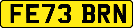 FE73BRN