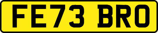 FE73BRO