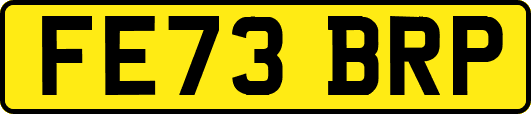 FE73BRP