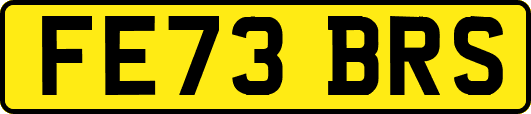 FE73BRS