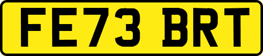 FE73BRT