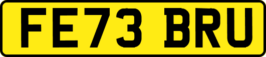 FE73BRU