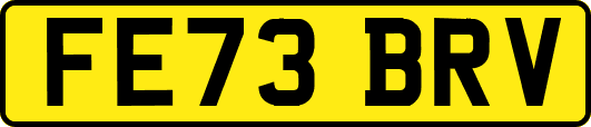 FE73BRV