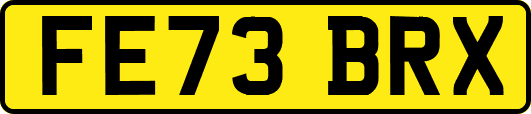 FE73BRX