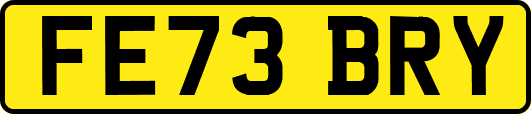 FE73BRY