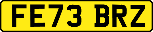 FE73BRZ