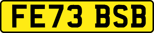 FE73BSB
