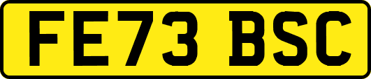FE73BSC