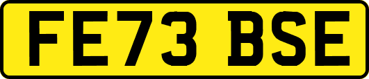 FE73BSE
