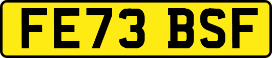 FE73BSF