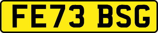 FE73BSG