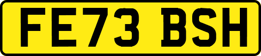 FE73BSH