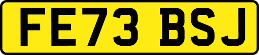 FE73BSJ