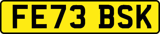 FE73BSK