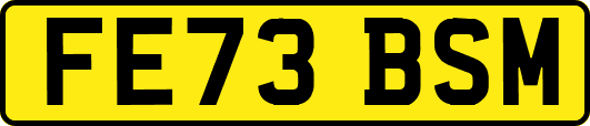 FE73BSM