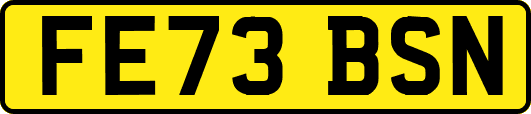 FE73BSN