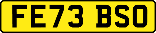 FE73BSO