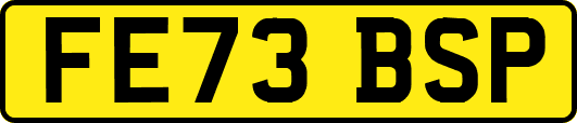 FE73BSP