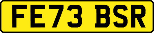 FE73BSR