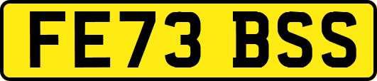 FE73BSS