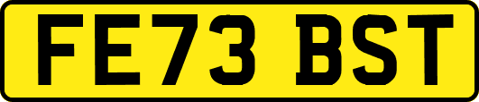 FE73BST