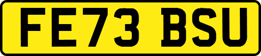 FE73BSU