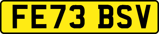 FE73BSV