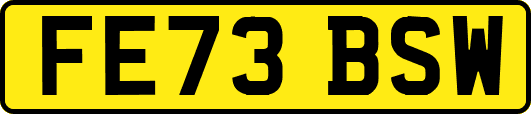 FE73BSW