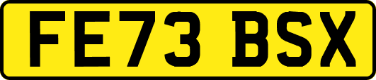 FE73BSX