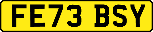 FE73BSY