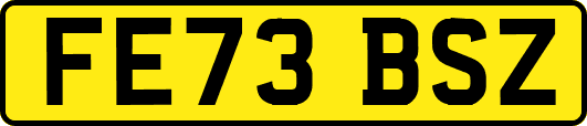 FE73BSZ