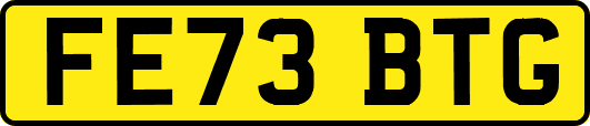 FE73BTG
